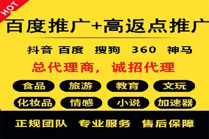 成功SEM代理案例：精准投放的策略